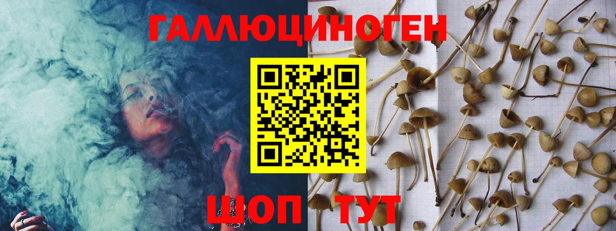 Галлюциногенные грибы GOLDEN TEACHER Бердск